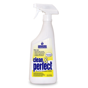00176 Clean & Perfect 24 oz Spray/Cs - SPA CHEMICALS